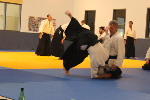 83 HAIHANMI KATATE UCHI KAITEN NAGE